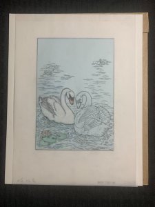 HAPPY THANKSGIVING Color Swan w/ Pencil Overlay 8x10 Greeting Card Art #23652