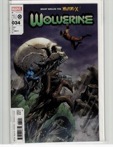 Wolverine #36 (2023) Wolverine