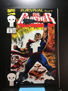 The Punisher #79 (1993)