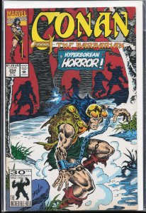 Conan the Barbarian #254 (1992) Conan