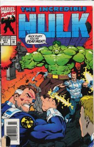 The Incredible Hulk #411 (1993) Hulk