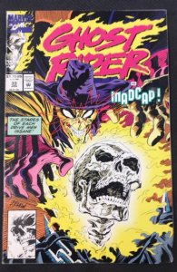Ghost Rider #33 (1993)