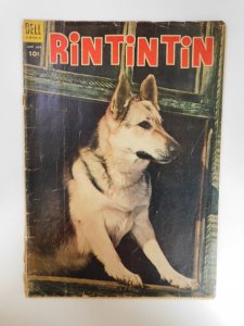 Rin Tin Tin #5 
