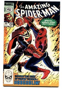 AMAZING SPIDER-MAN #250 comic book 1984 MARVEL Hobgoblin