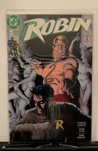 Robin #5 (1991)