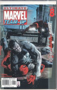 Ultimate Marvel Team-Up #8 (2001) Punisher