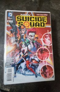 New Suicide Squad #2  (2014)