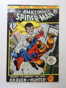 The Amazing Spider-Man #111 (1972) FN/VF Condition!