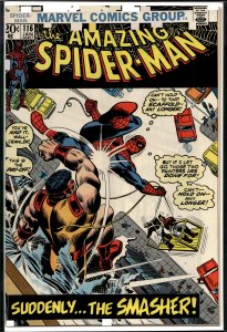 The Amazing Spider-Man #116 (1973) Spider-Man