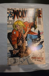 Wolverine #10 (1989)1st sabertooth battle 1zt silver fox