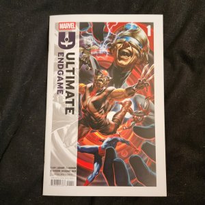 Ultimate Endgame # 2