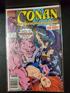 Conan the Barbarian #245 (1991)