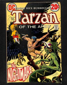 Tarzan #214