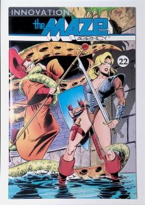 Maze Agency, The #22 (July 1991, Innovation) 8.0 VF