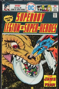 Superboy #213 (1975)