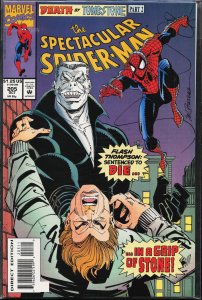 The Spectacular Spider-Man #205 (1993) Spider-Man