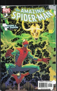The Amazing Spider-Man #504 (2004)
