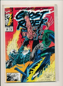 Marvel Comics Large Lot!! GHOST RIDER (see scans for issue #'s) VF+ (PF873)