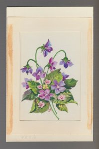 A LITTLE WISH Purple & Violet Flowers 5x8 Greeting Card Art #C9207 w/ 3 Cards