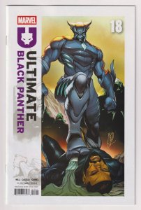 Ultimate Black Panther #18 Caselli Main Cvr (Marvel, 2025) NM