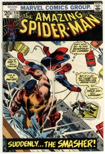 The Amazing Spider-Man #116 (1973)