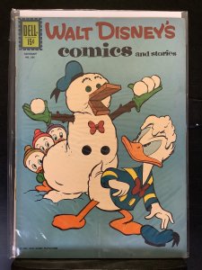 Walt Disney's Comics & Stories #256 (1962)