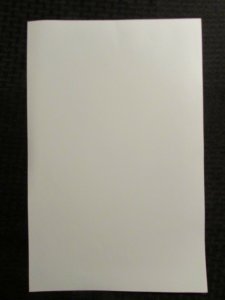 2012 AMAZING SPIDER-MAN #1 NYCBM 10.75x16.5 Poster / Stan Lee