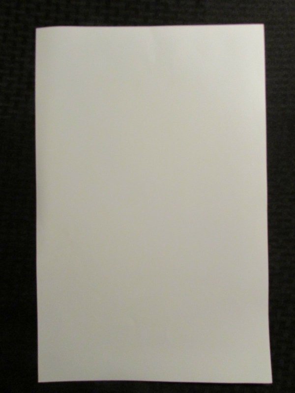 2012 AMAZING SPIDER-MAN #1 NYCBM 10.75x16.5 Poster / Stan Lee