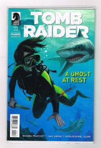 Tomb Raider #11  (2014)
