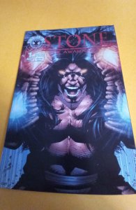 Stone #1 (1998)