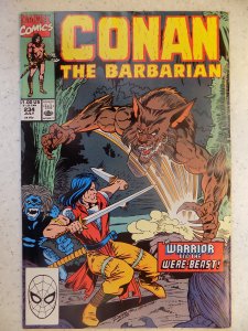 CONAN THE BARBARIAN # 234