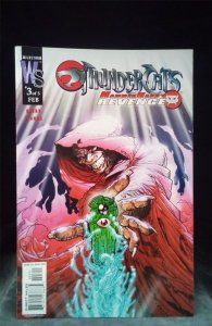 Thundercats: Hammerhand