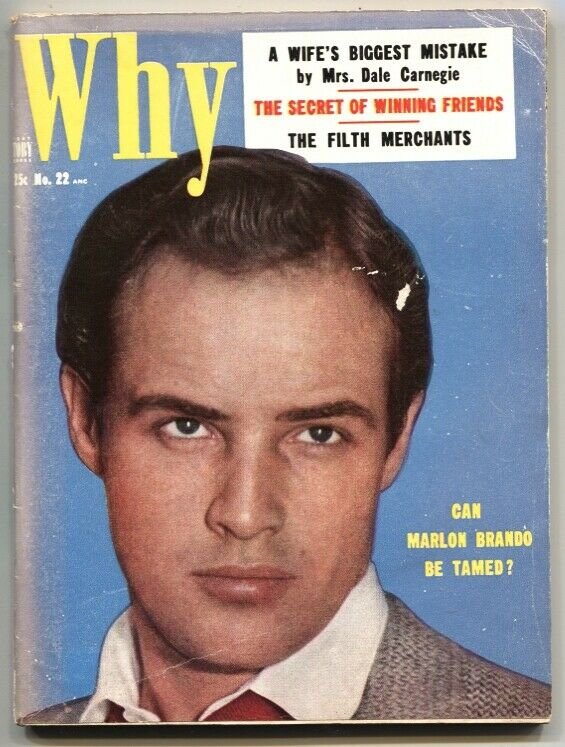 WHY #22-JUNE 1954-KNOCKS HARRISON PUB TITLES-BEAUTY PARADE-WINK-EYEFUL-TITTER