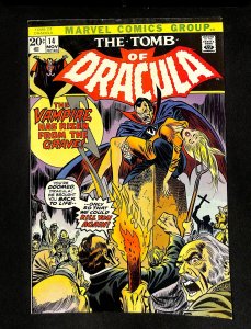 Tomb Of Dracula #14