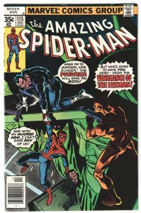 The Amazing Spider-Man #175 (1977) Punisher appearance!