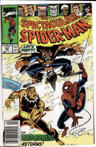 The Spectacular Spider-Man #161 (1990) Spider-Man