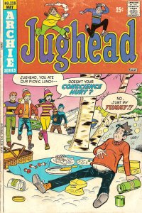 Jughead (Vol. 1) #228 VG ; Archie | low grade comic May 1974 Snow Picnic