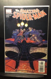 The Amazing Spider-Man #507 (2004)