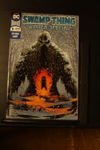 Swamp Thing Winter Special (2018) Swamp Thing