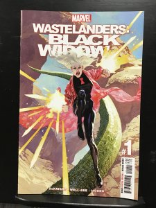 Wastelanders: Black Widow #1 (2022)