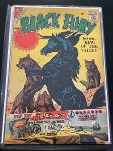 Black Fury #28