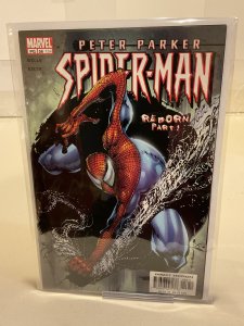 Peter Parker: Spider-Man #56  2003  9.0 (our highest grade)