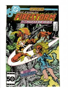 The Fury of Firestorm #41 (1985) SR7
