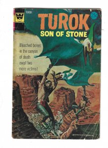 Turok, Son of Stone #91 (1974) b6