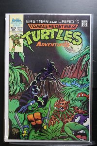 Teenage Mutant Ninja Turtles Adventures #15 Direct Edition (1990)