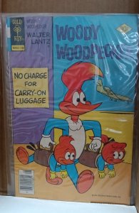 Walter Lantz Woody Woodpecker #159 Gold Key Variant (1977). Ph19