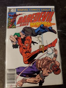 DAREDEVIL #173