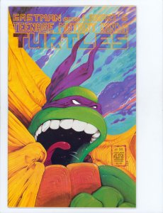 Teenage Mutant Ninja Turtles #22 (1989)