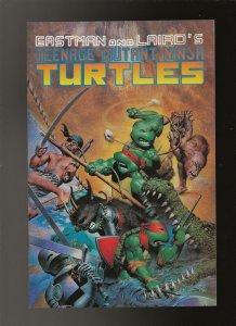 TMNT #33  MIRAGE  TEENAGE MUTANT NINJA TURTLES   EASTMAN LAIRD 