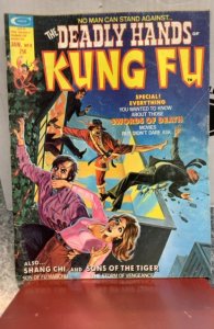 The Deadly Hands of Kung Fu #8 (1975)